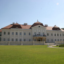 9-firmy-futuro-tomasov