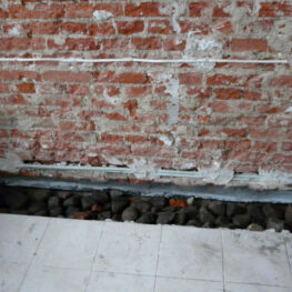 firmy-socha-kamienica-lodz2