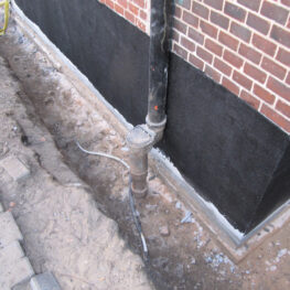 firmy-wasilewski-poznan2